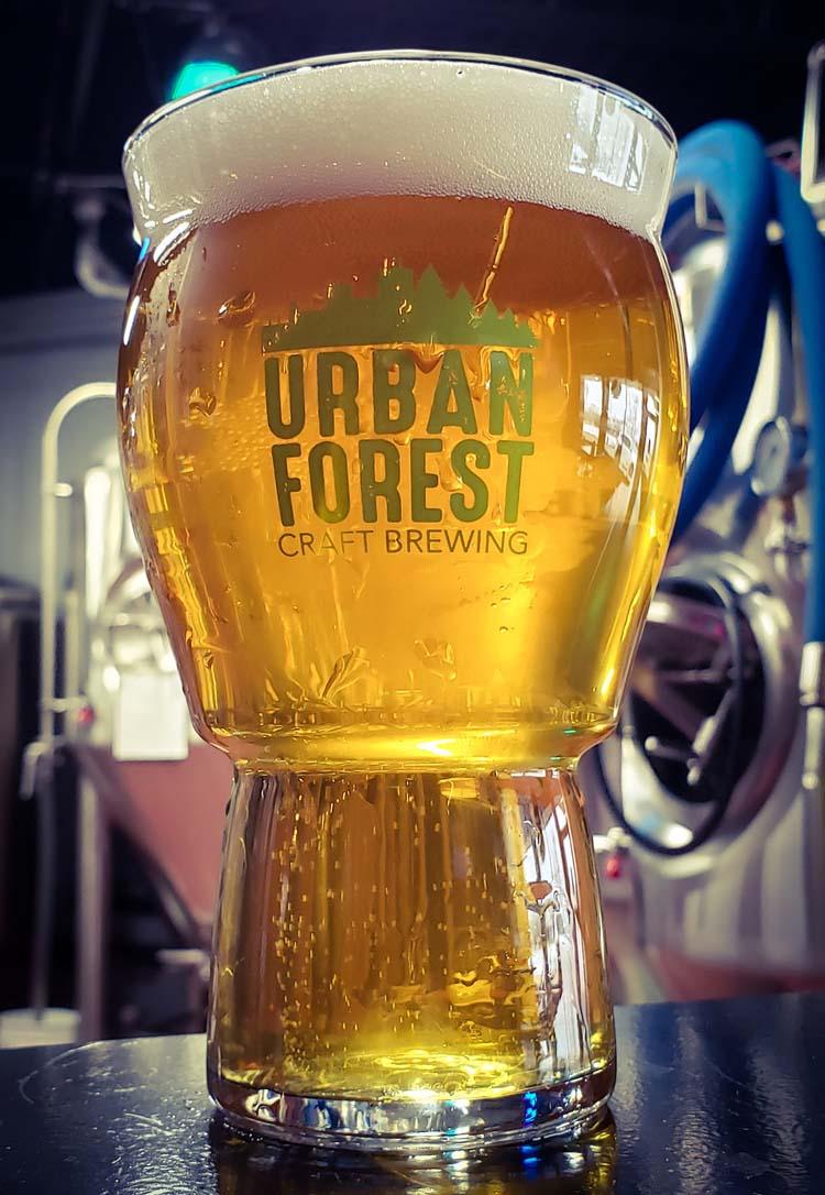 5 bbl brewery equipment by Tiantai